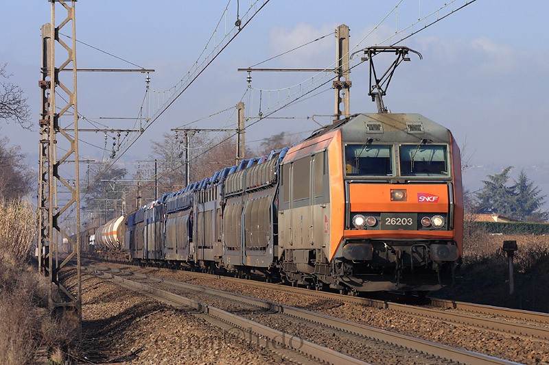 BB 26203.JPG